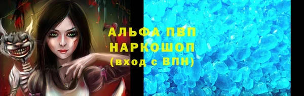 гидра Аркадак