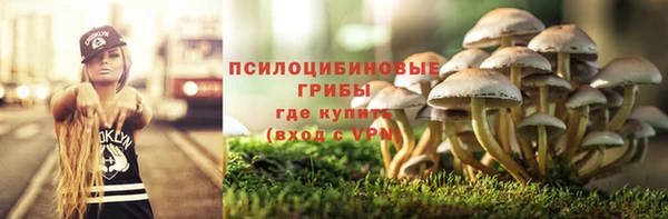 PSILOCYBIN Балахна