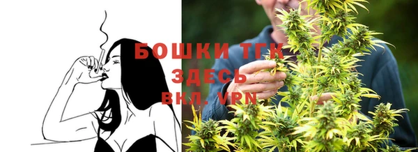 гидра Аркадак